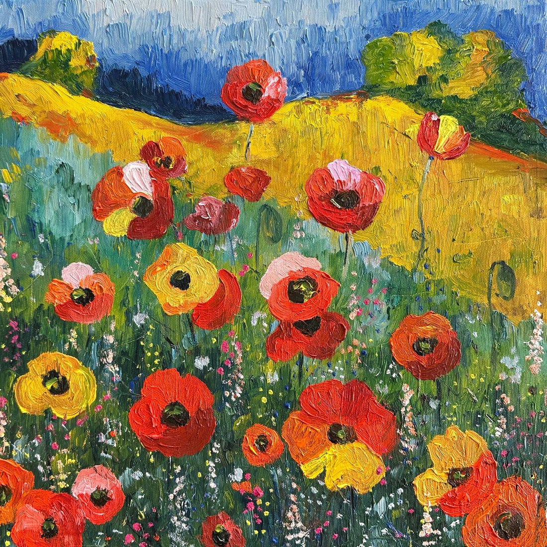 Les coquelicots ensoleillés fleurissent