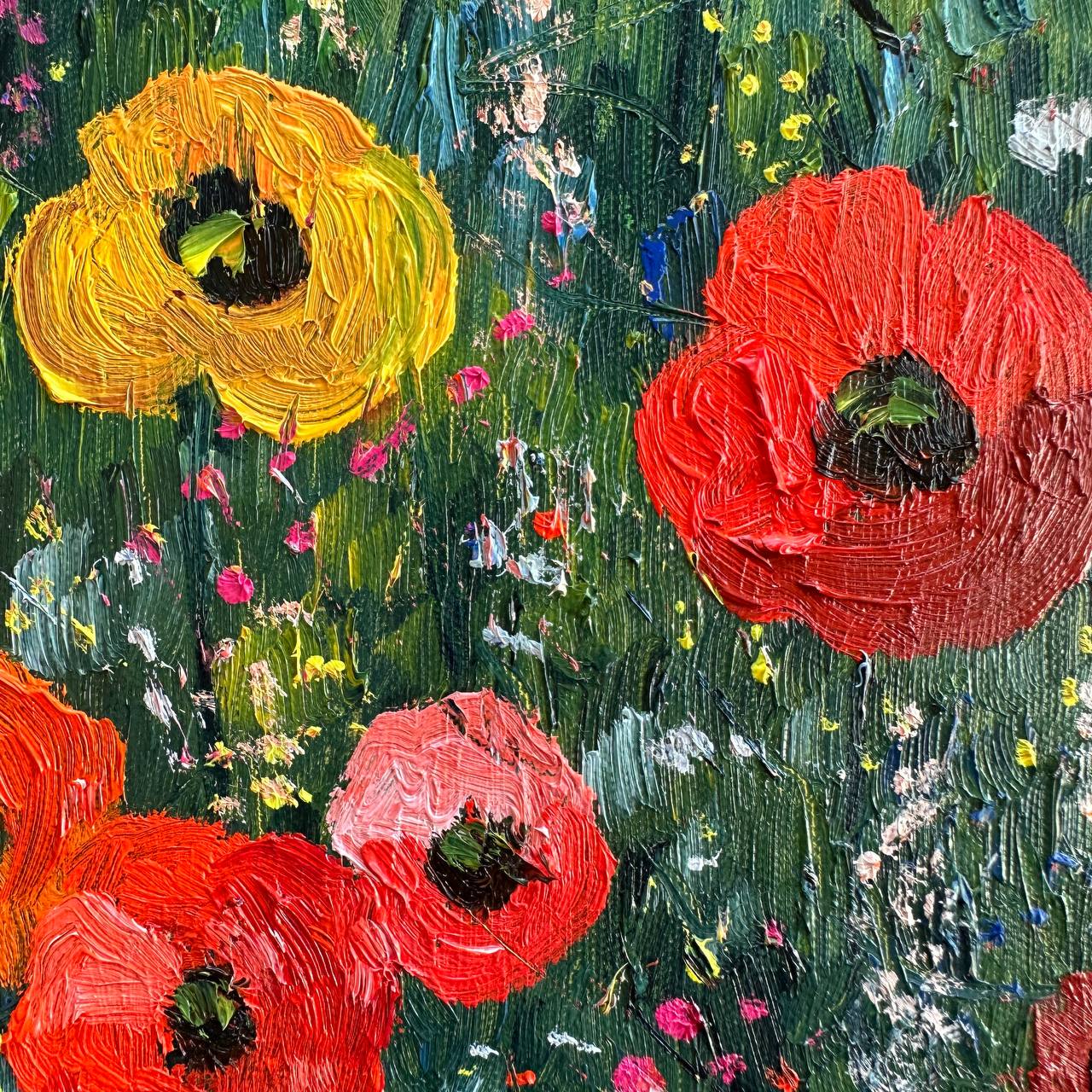 Les coquelicots ensoleillés fleurissent