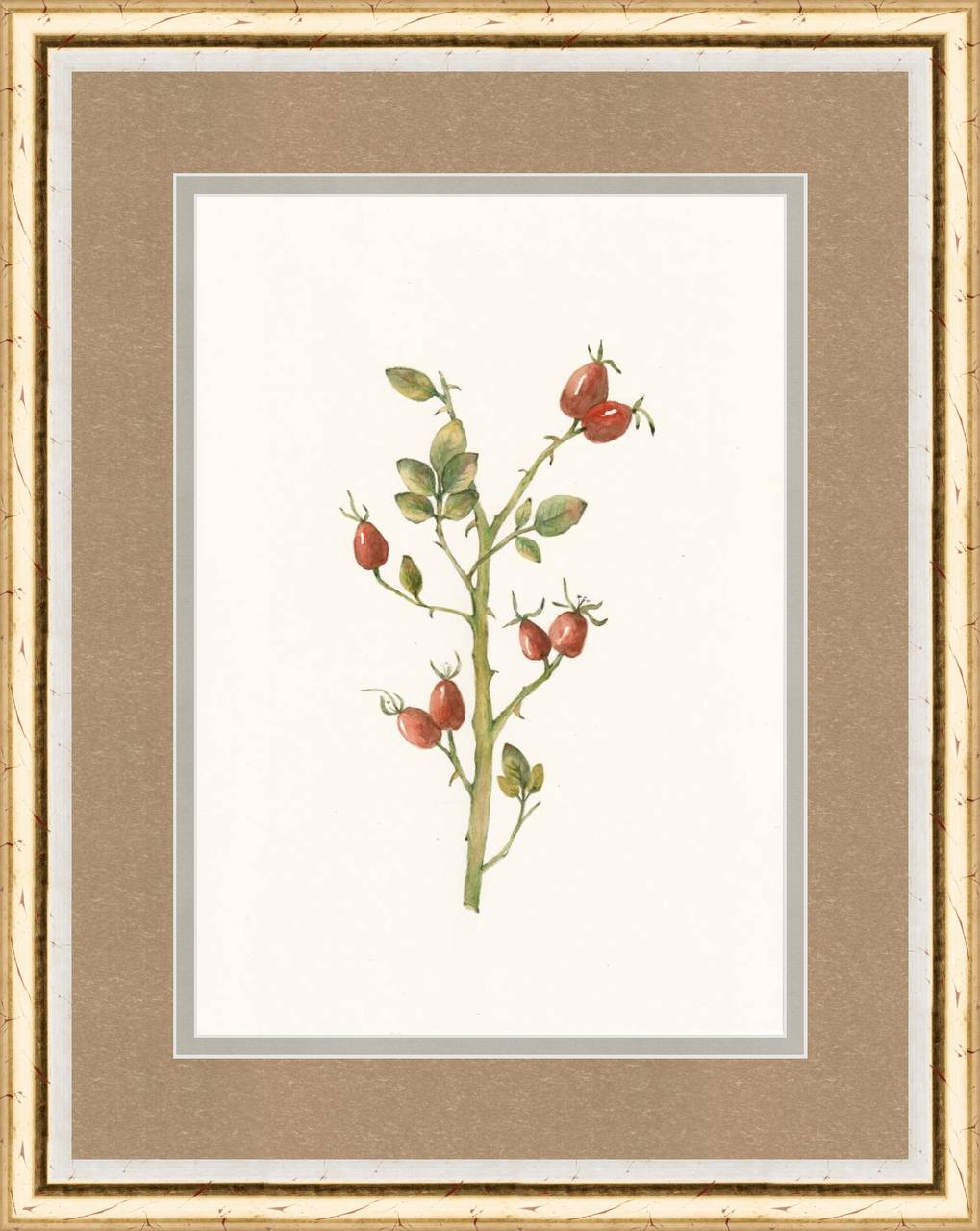 Rosehip Bloom 2. Set of 2
