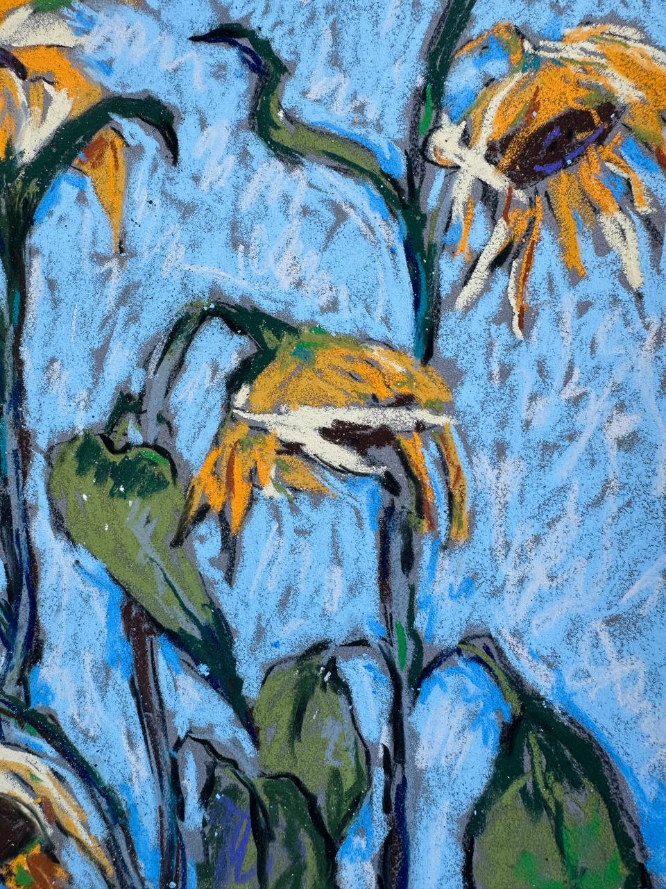 Sunflowers on Blue