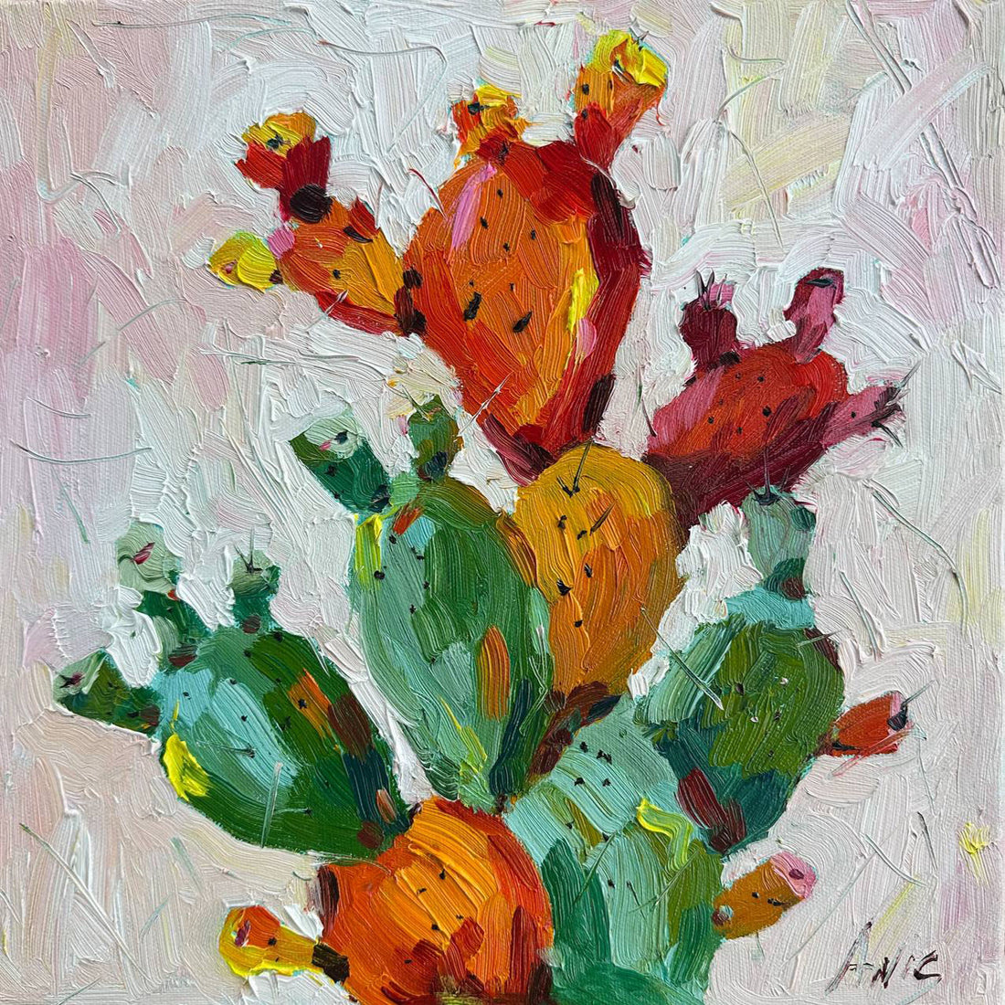 Cactus coloré