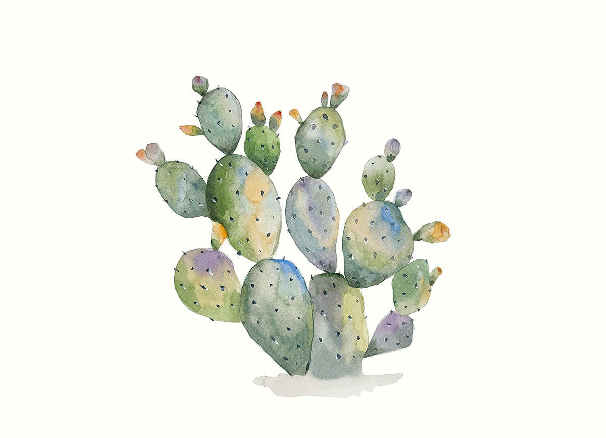 kaktus wasserfarbe Aquarell Kaktus 6
