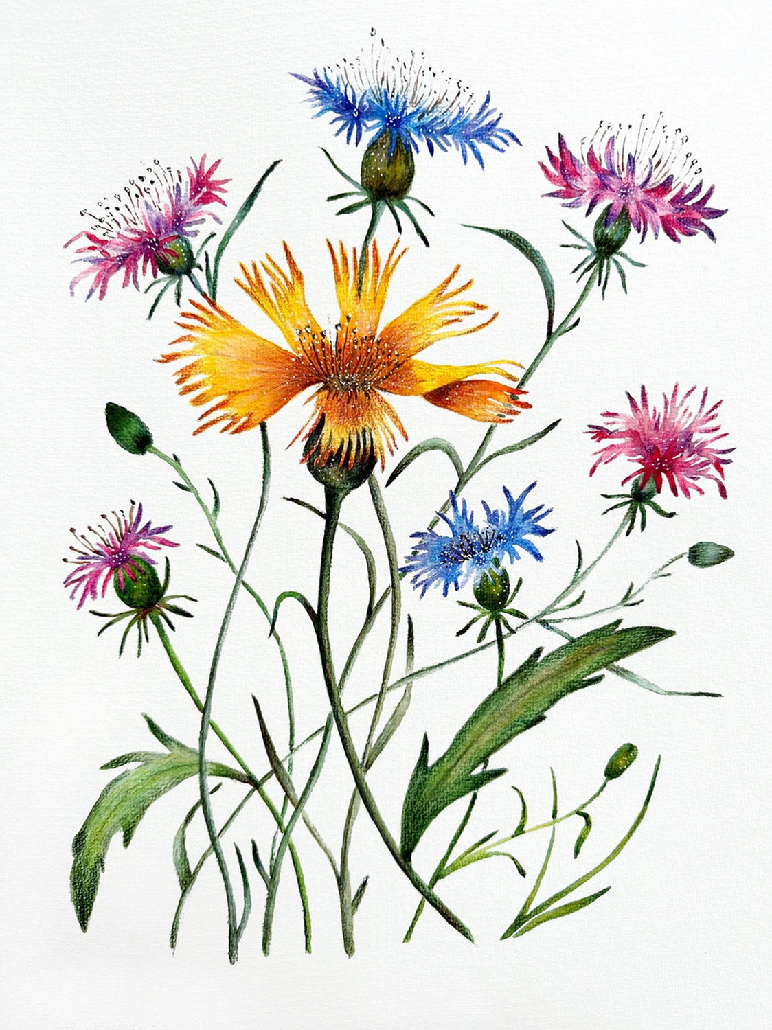 Wildblumen