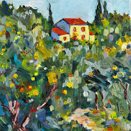 House in Summer Light