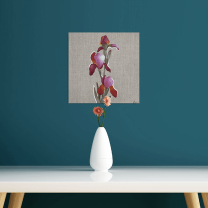 Pink Iris