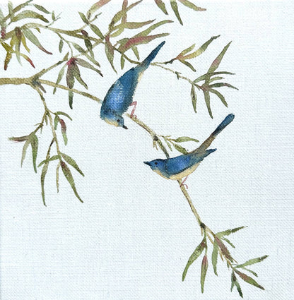 Fleurissant sur fond bleu