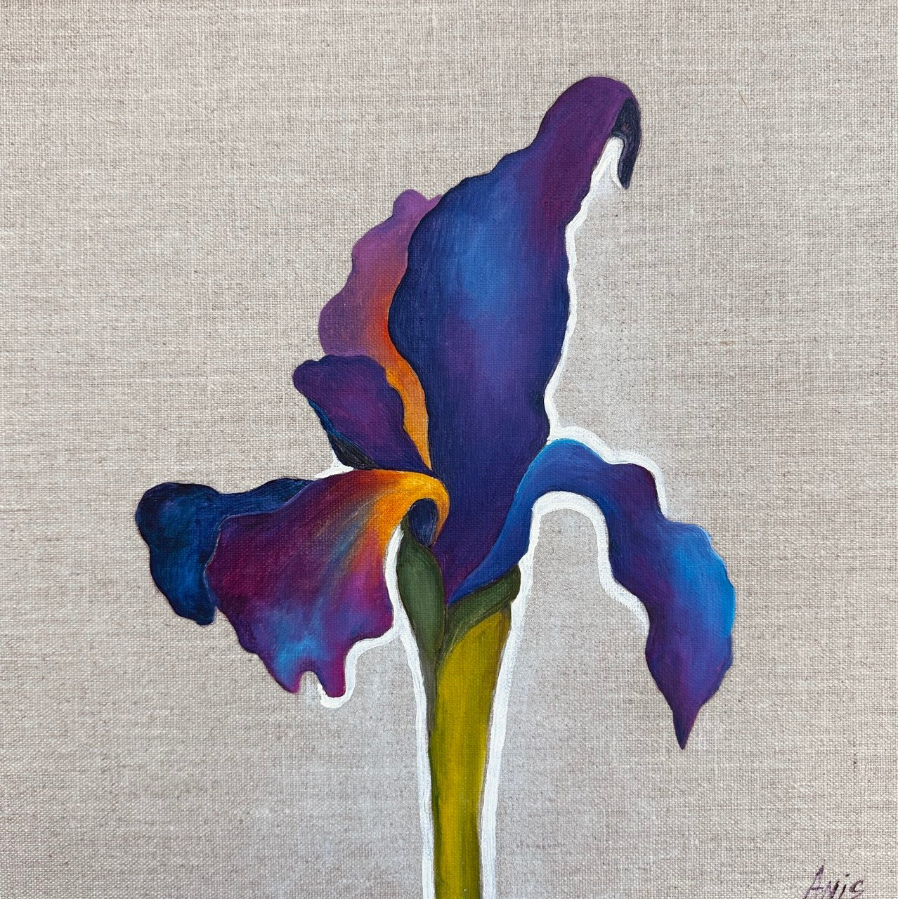 Velvet Iris