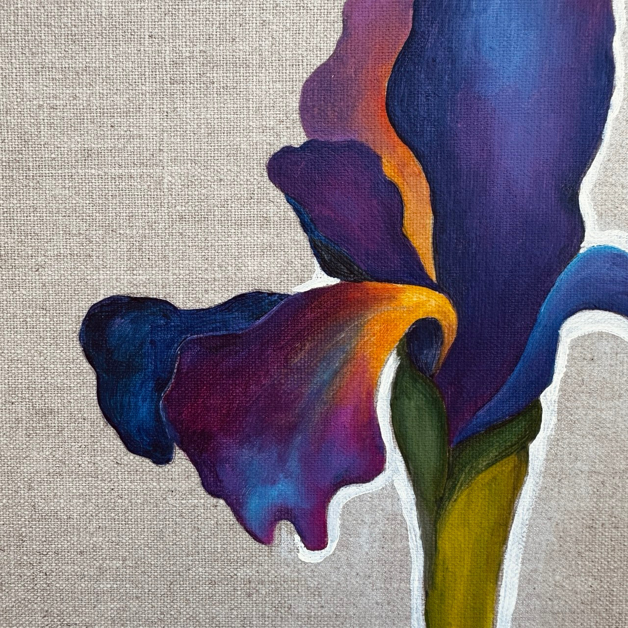 Velvet Iris