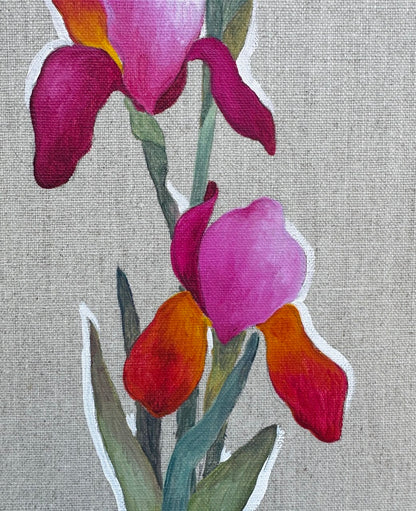 Pink Iris