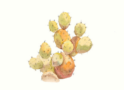 Watercolor Cactus 3