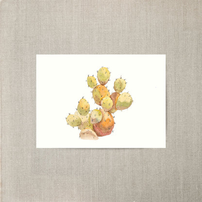 Watercolor Cactus 3